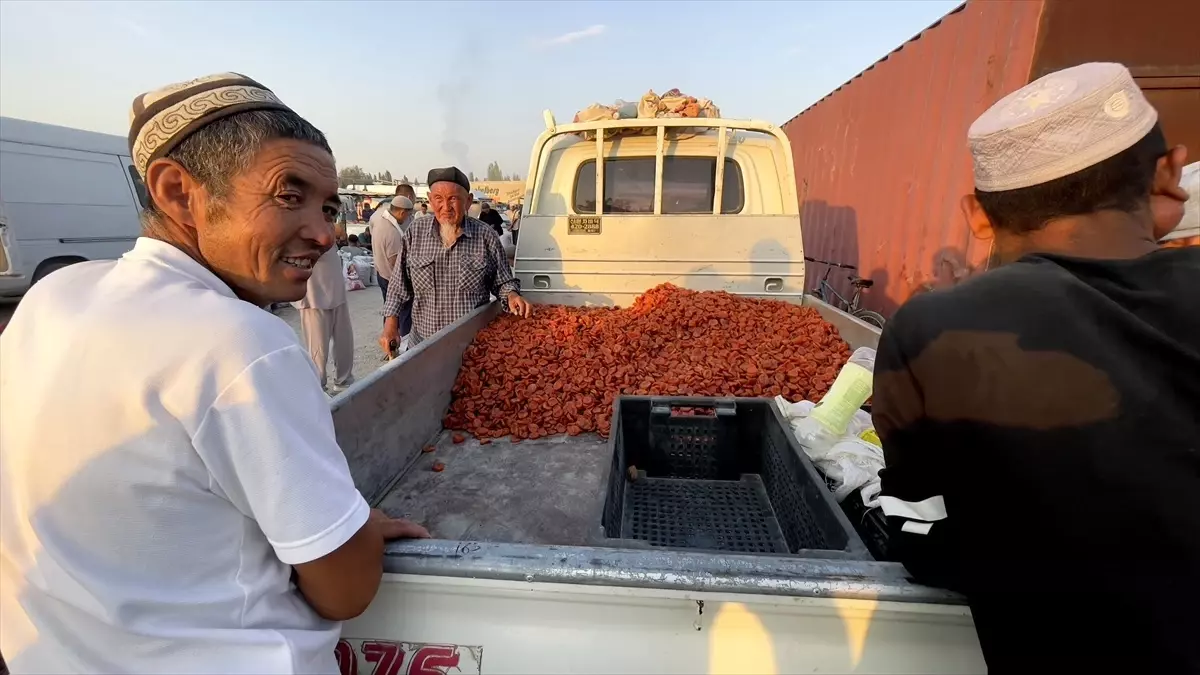 Batken\'de Kuru Kayısı Pazarı Hareketleniyor