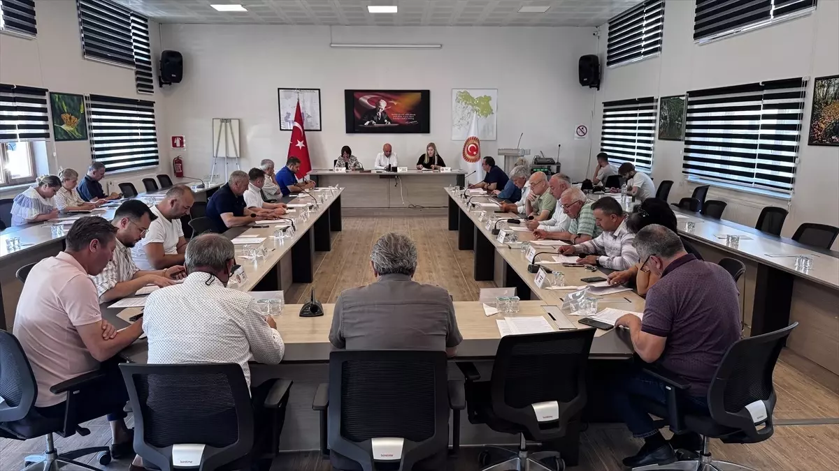 Kırklareli Meclisi\'nde Geçici Görev Taraması