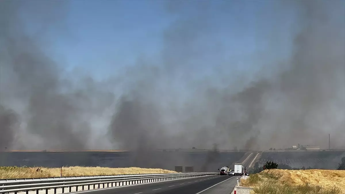 Kırklareli\'nde 15 Temmuz şehitleri anısına 253 gül fidanı dikildi