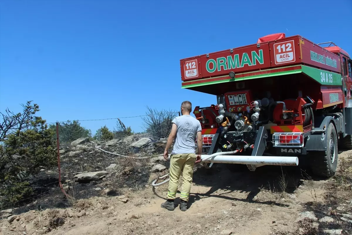 Kırklareli\'nde Ceviz Bahçesi Yangını