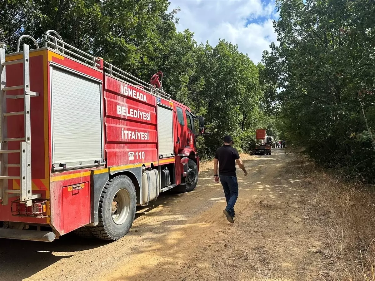 İğneada\'da Orman Yangını Kontrol Altına Alındı