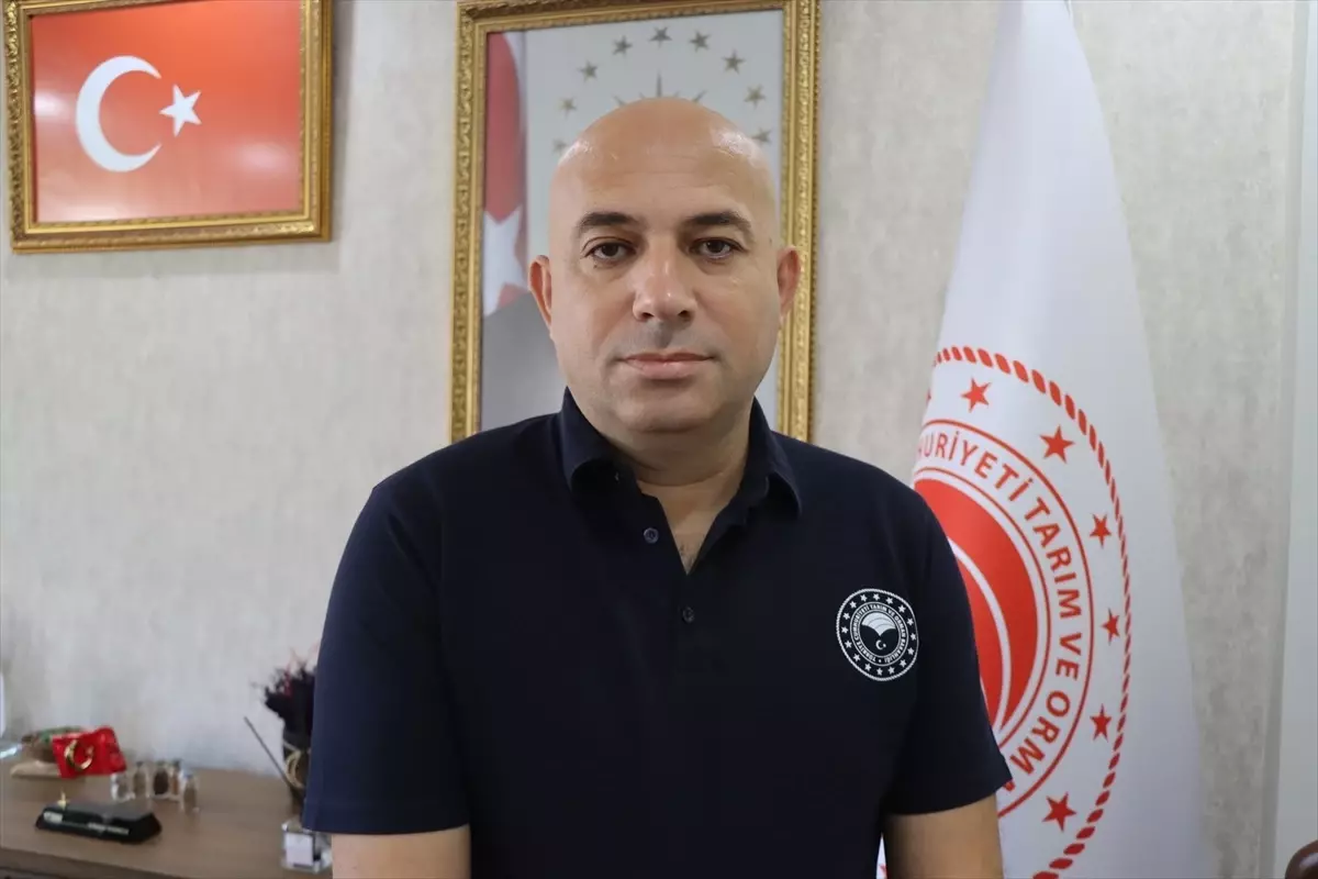 Kırklareli\'nde Çiftçilere Zirai Don Desteği