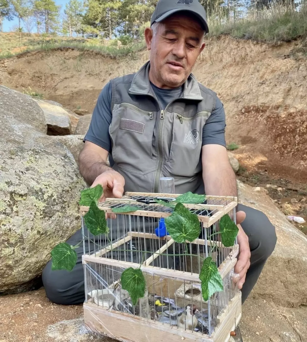 Kırşehir\'de Saka Kuşu Satıcısına Cezalı Operasyon