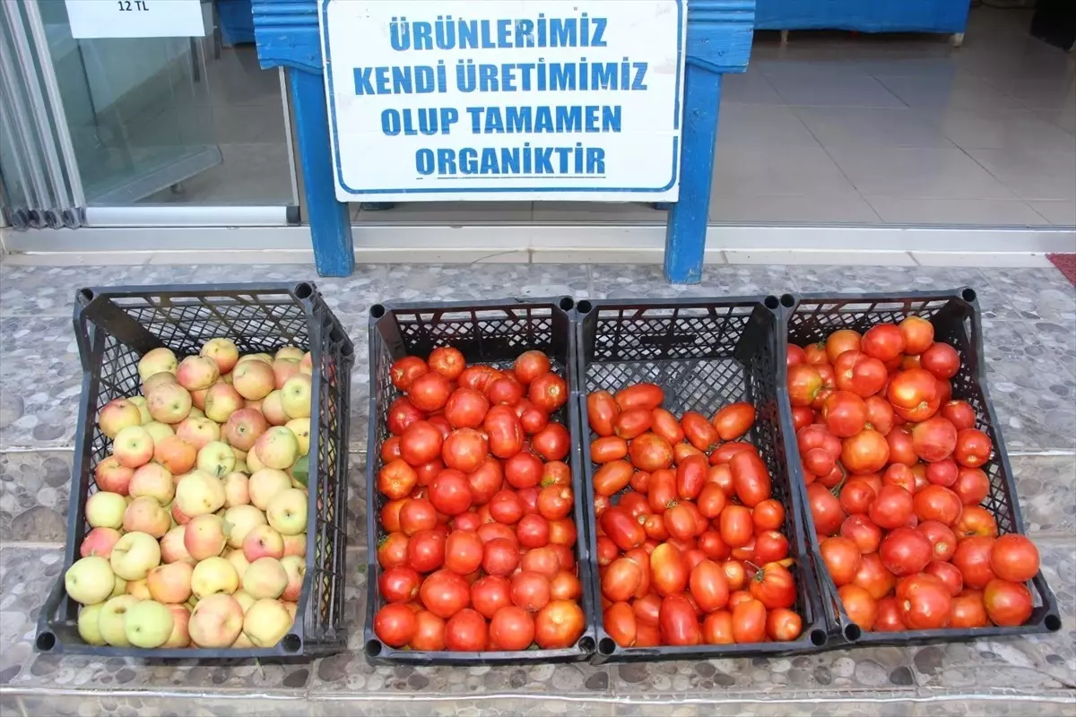 Hükümlülerin Ürettiği Sebzeler Kentte Satışta