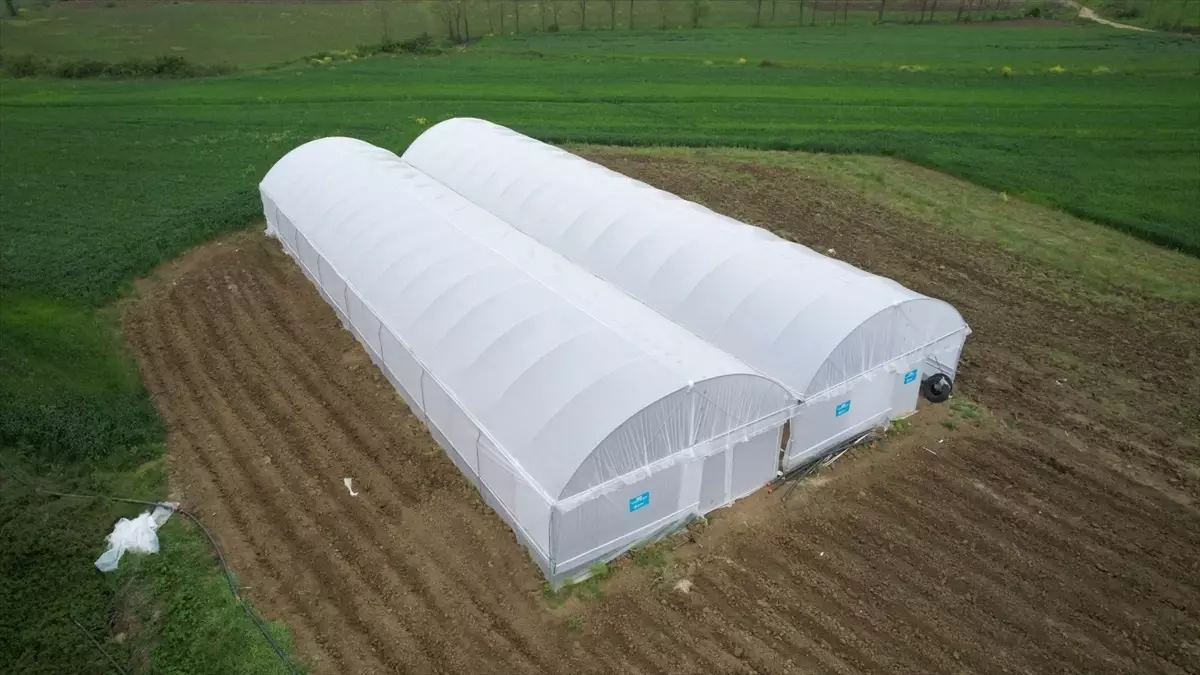 Kocaeli\'de Çiftçilere Modern Sera Desteği