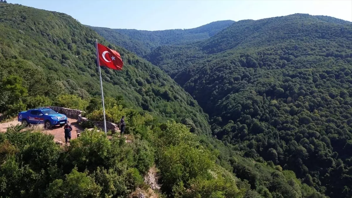 Kocaeli\'de Yasaklı Ormana Mangal Yakan 58 Kişiye Ceza