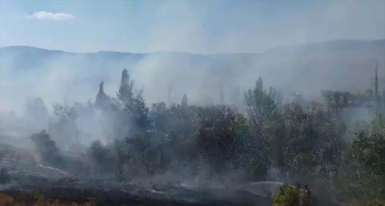 Hüyük\'te Arazi Yangını Kontrole Alındı