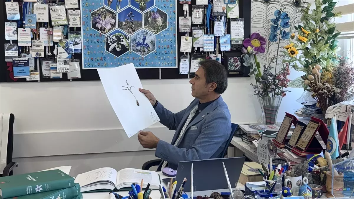 Yeni Bitki Türü: Konya Sümbülü