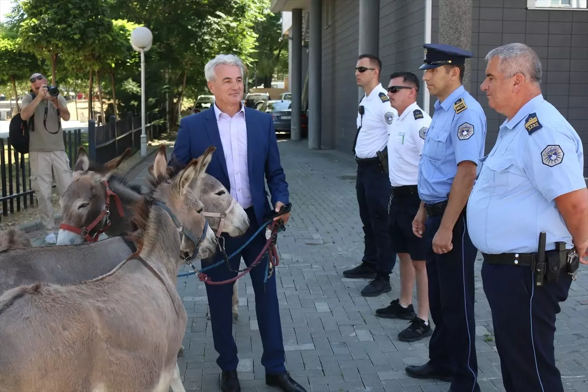 Kosovalı Aktivist, Meclis Protestosu İçin Eşek Getirdi