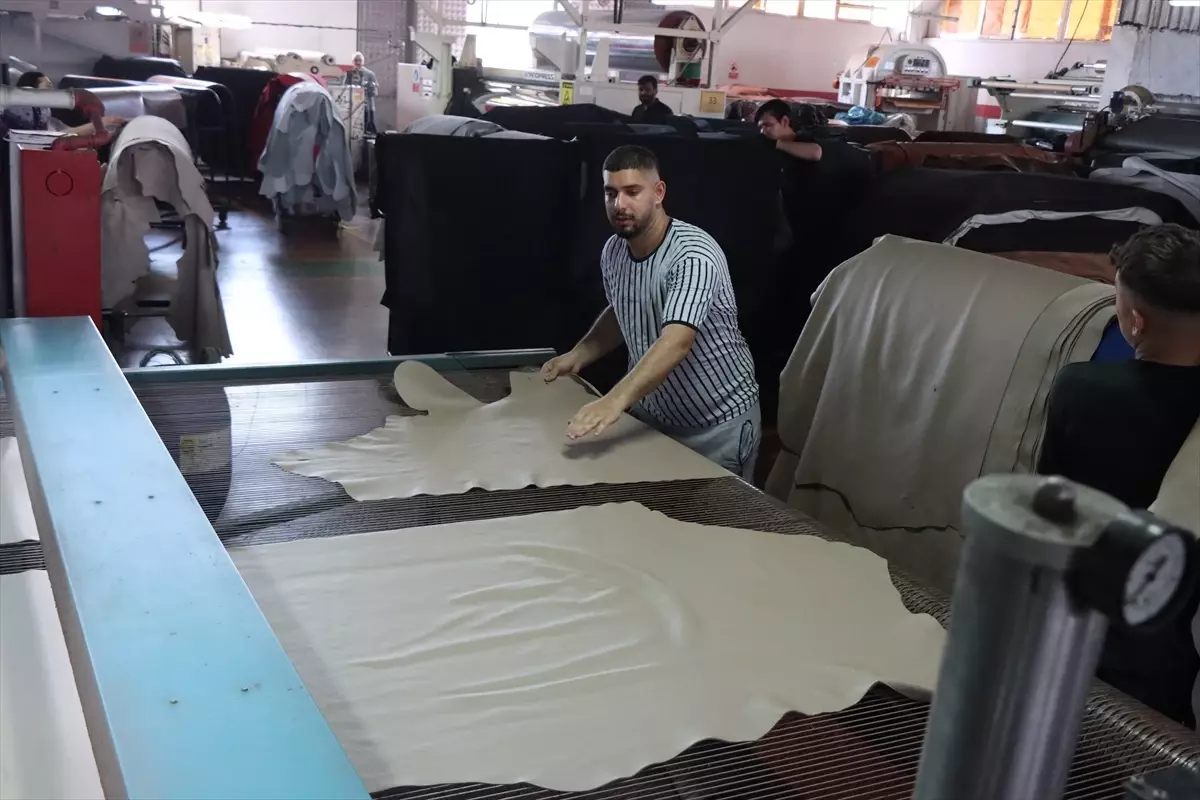 Kurban Derileri Ekonomiye Katkı Sağlayacak