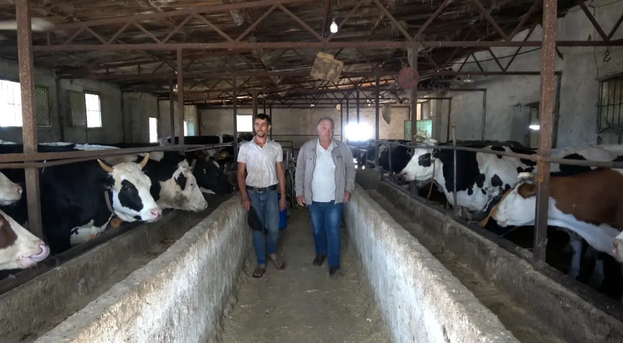 Kurbanlık Hayvan Uyarısı!