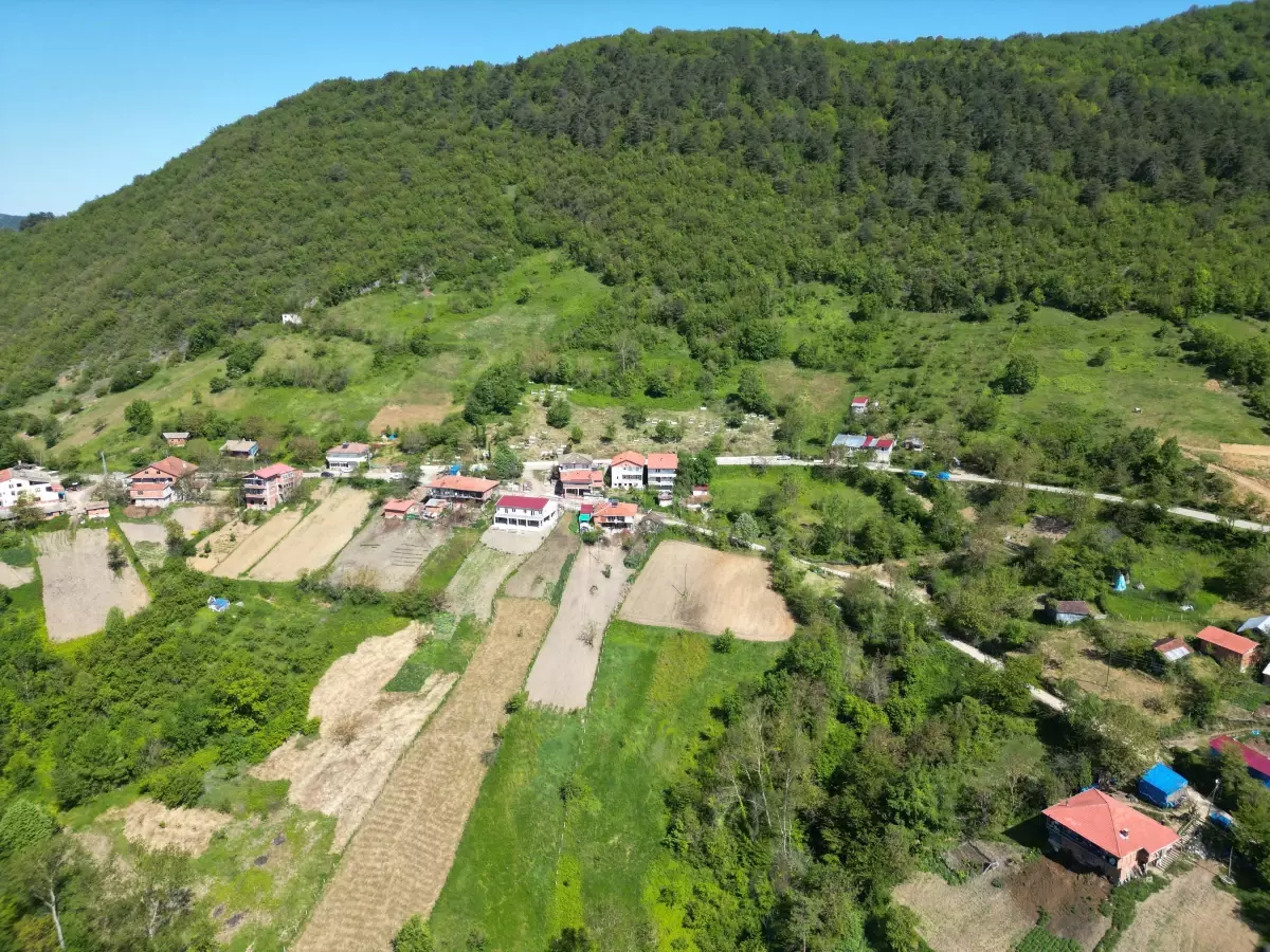 Küre Dağları\'nın İlkbahar Güzelliği