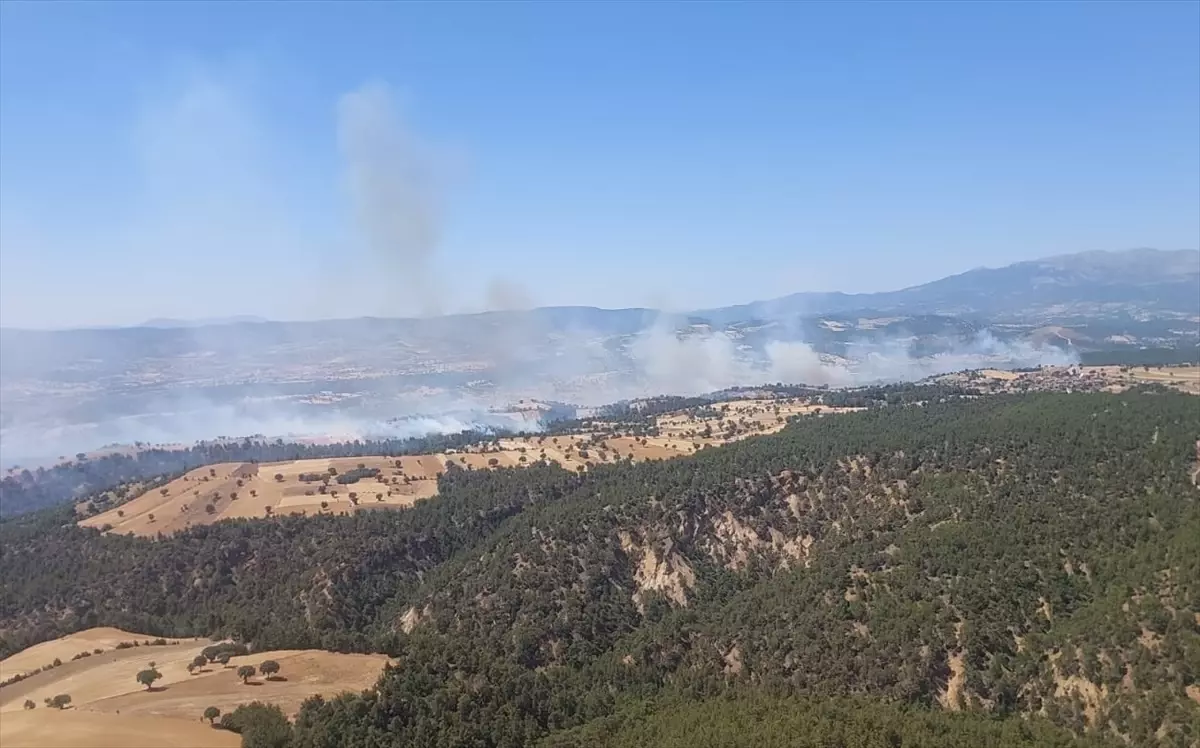 Gediz\'de Orman Yangını Kontrol Altına Alındı