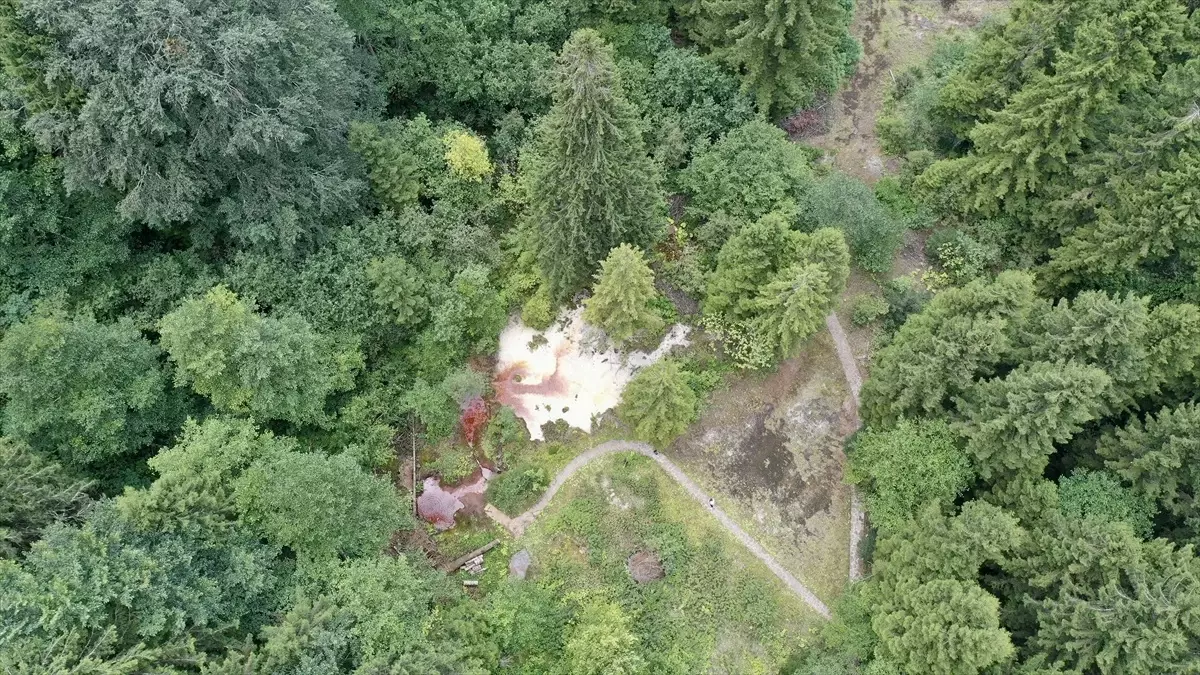 Giresun\'da Doğa Harikası: Kuzalan Tabiat Parkı