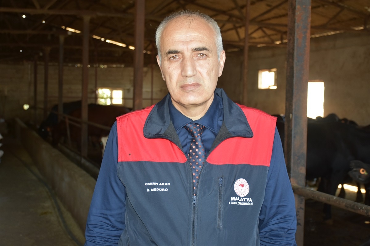 Malatya\'ya 2.932 Damızlık Büyükbaş Hayvan Desteği