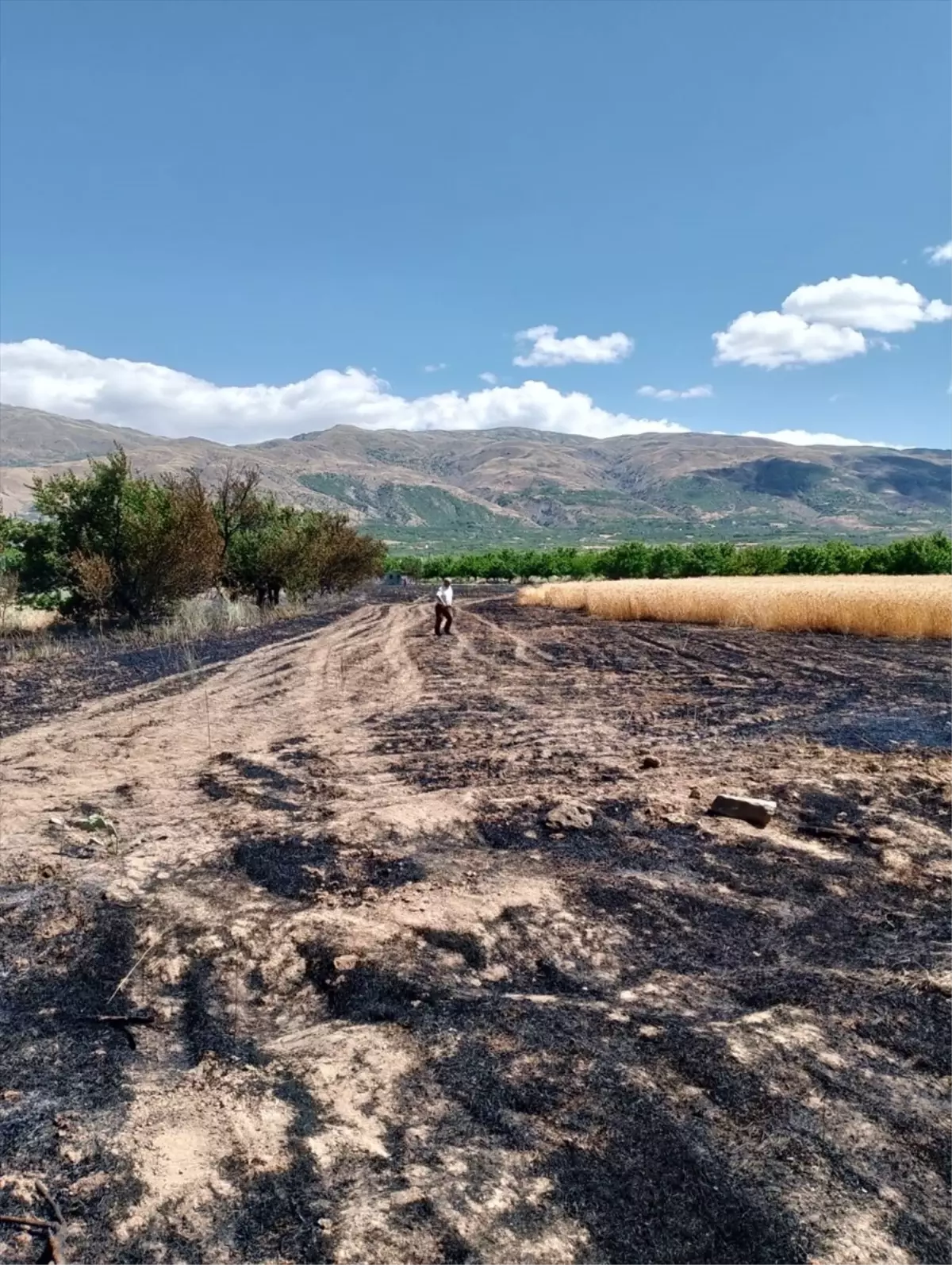 Kale\'de Yangın: Tarım Alanları Zarar Gördü