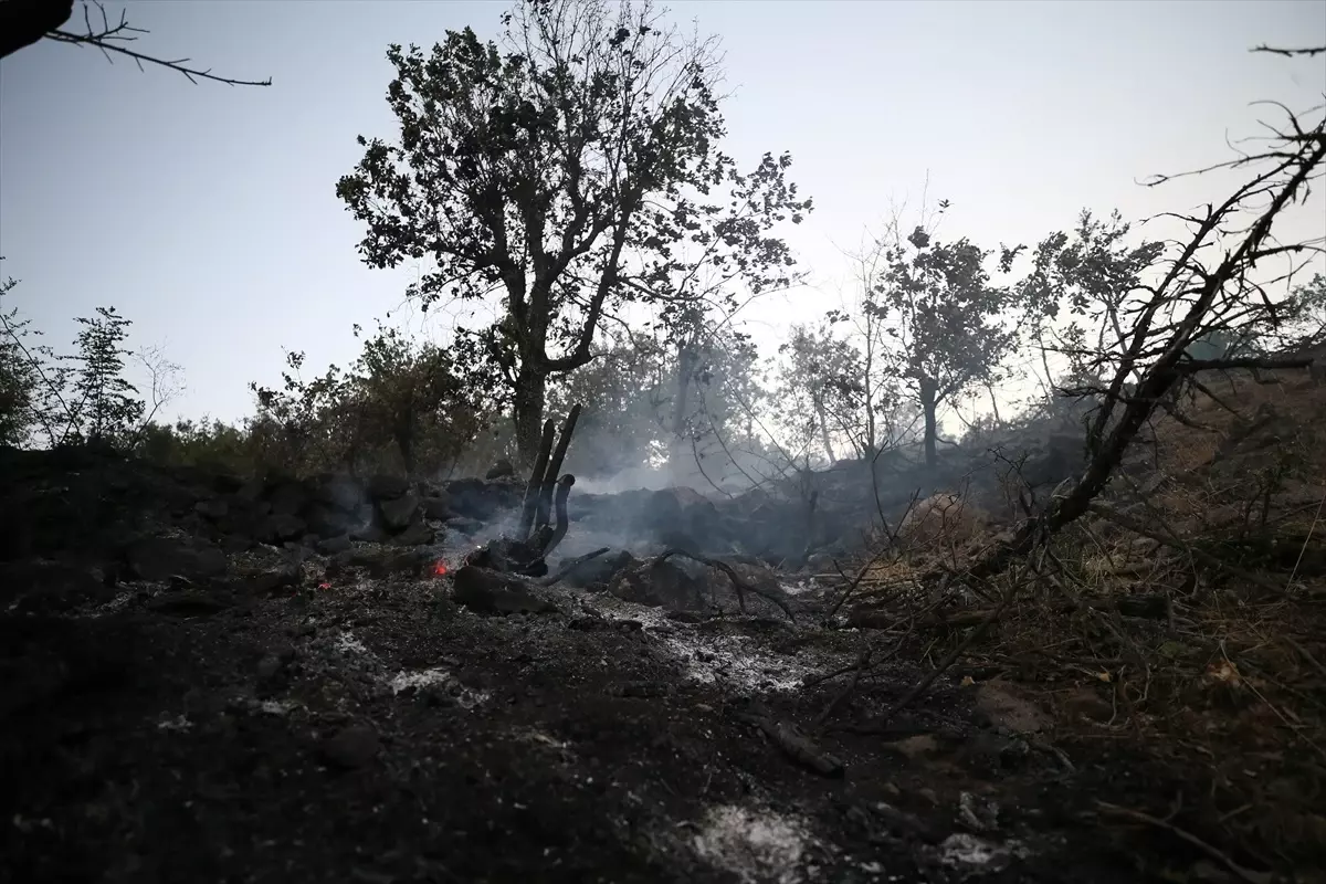 Malatya\'da Orman Yangını Kontrol Altına Alındı