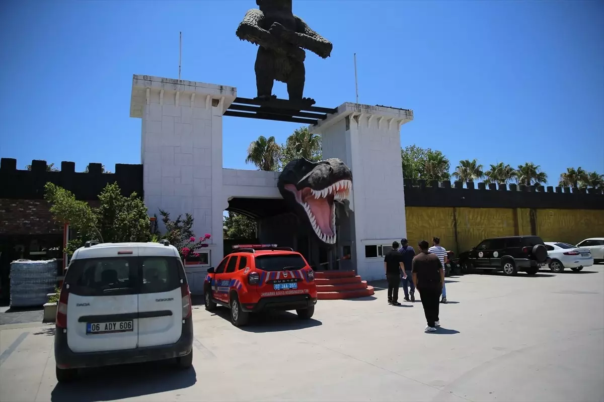 Manavgat\'ta Kaçan Aslan Denetlendi