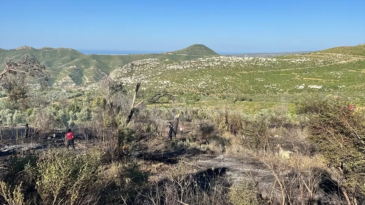 Manavgat\'ta Orman Yangını Kontrol Altında