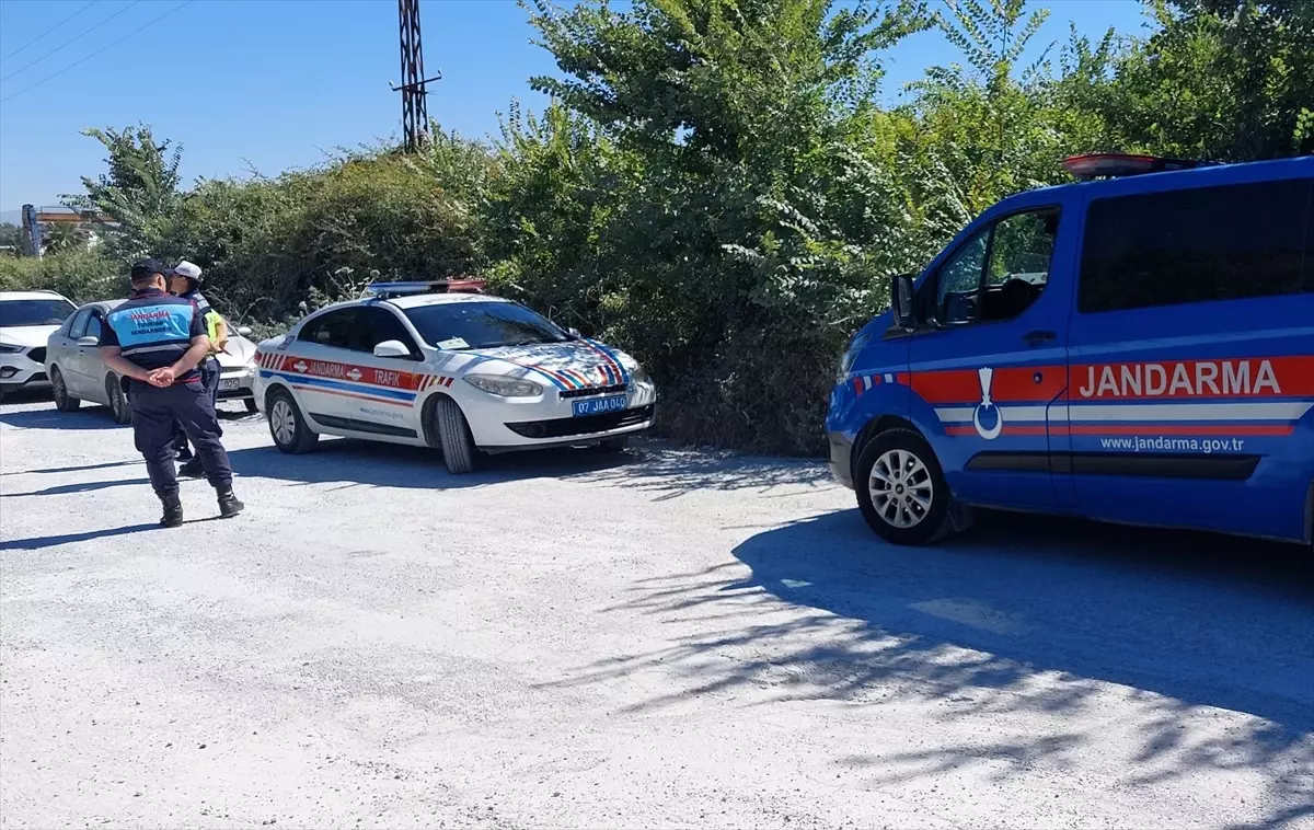 Manavgat\'ta Kaçan Aslan Vuruldu