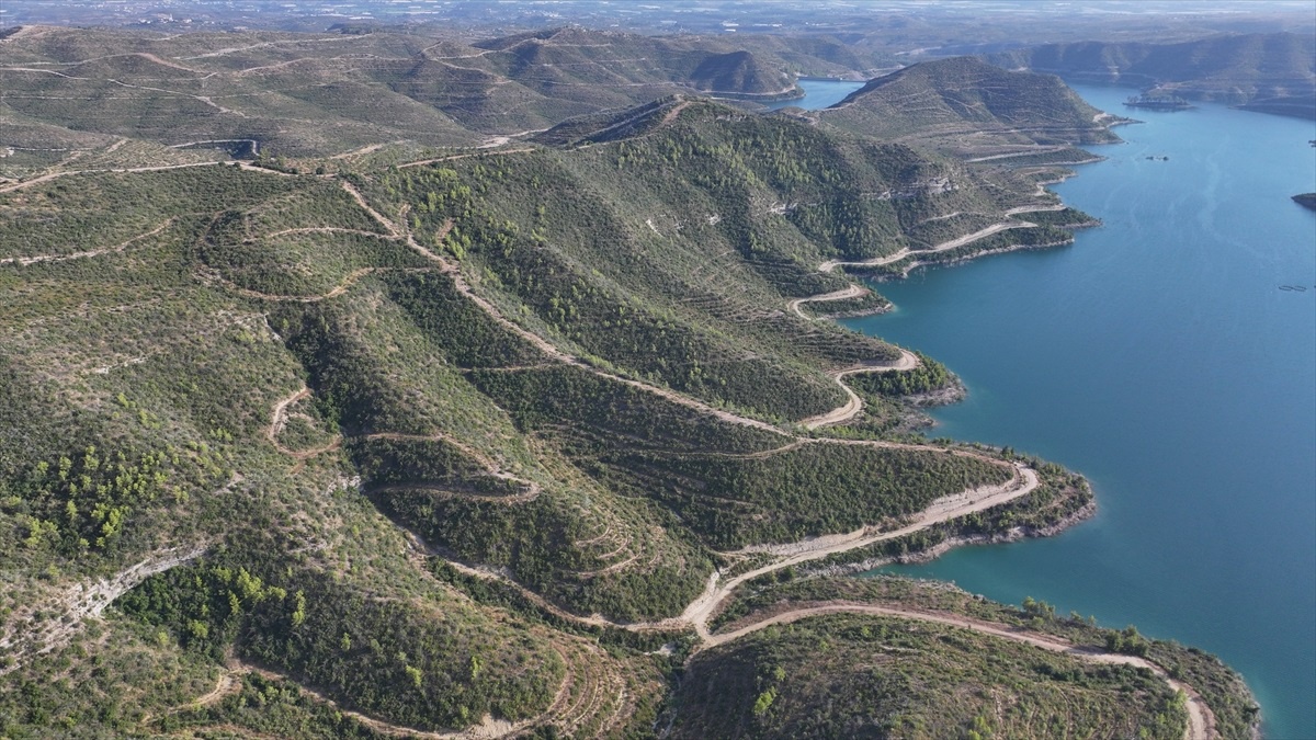 Manavgat Ormanları Yeniden Yeşeriyor