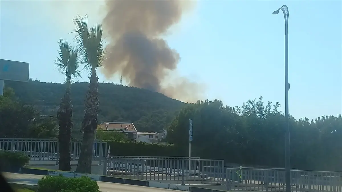 Manisa\'da Orman Yangınına Müdahale