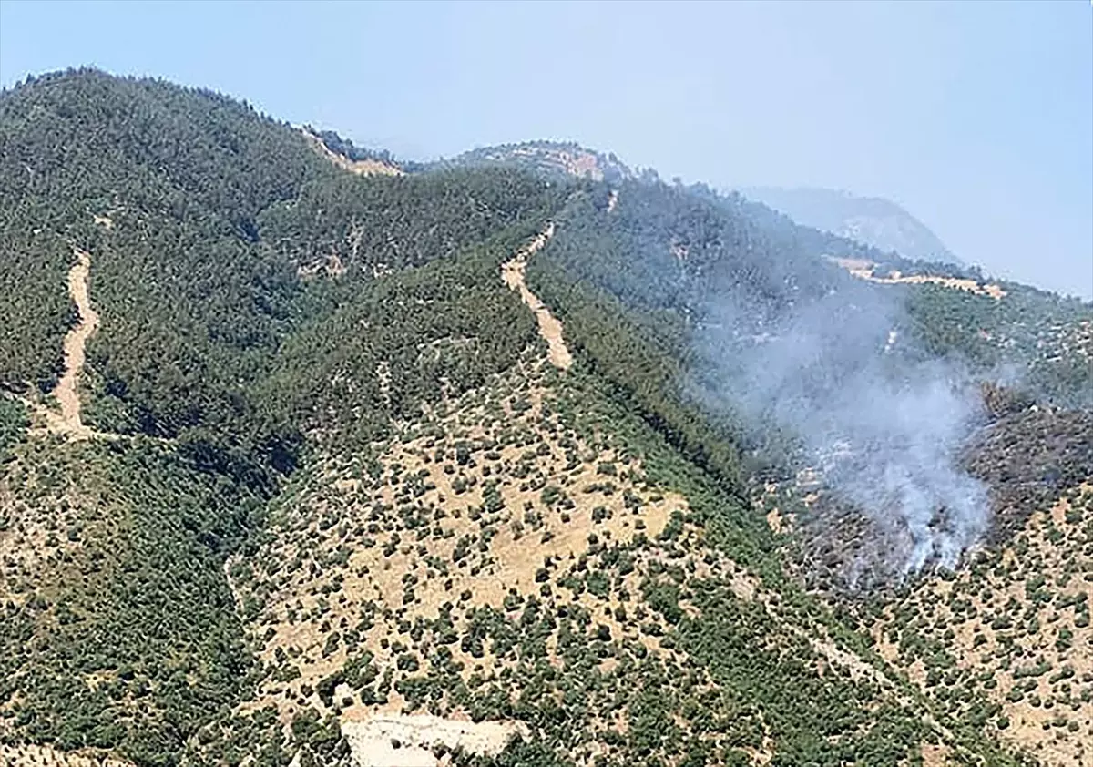 Alaşehir\'de Orman Yangınına Müdahale