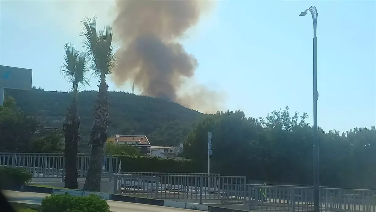 Yunusemre\'de Orman Yangını Kontrol Altında