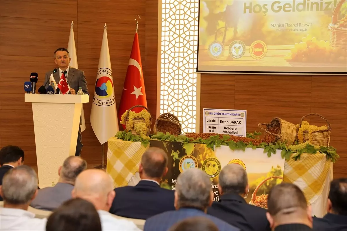 Manisa\'da İlk Çekirdeksiz Kuru Üzüm Açık Artırmada Satıldı