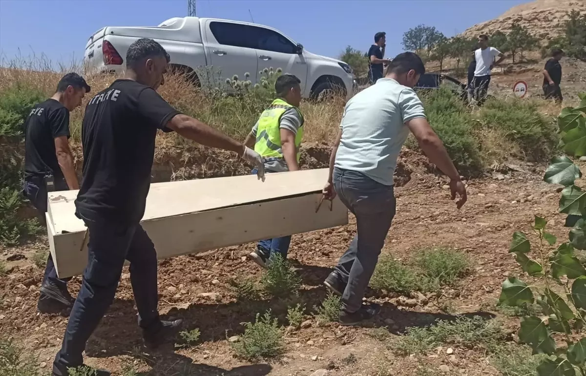 Nusaybin\'de Trafik Kazası: 1 Ölü, 1 Yaralı