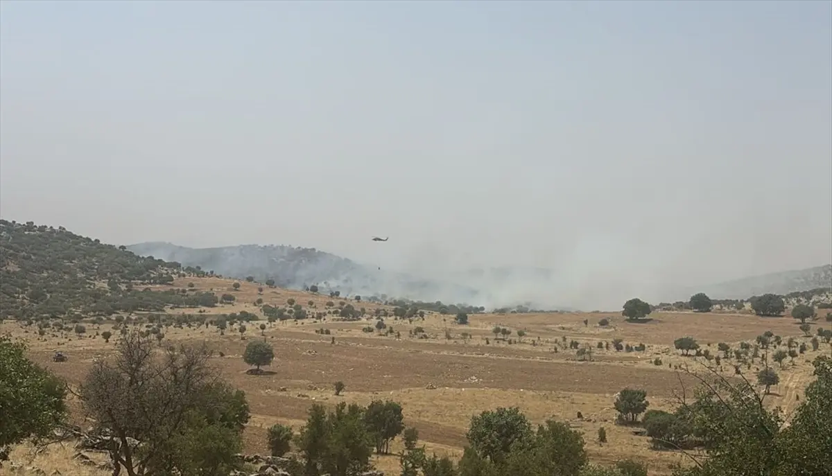 Mardin\'de Orman Yangınına Müdahale