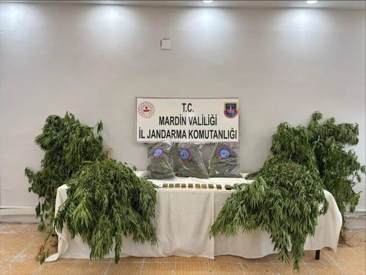 Derik\'te Uyuşturucu Operasyonu: 1 Tutuklama