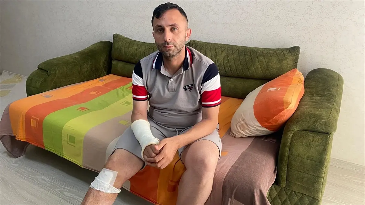 Sahipsiz Köpekler Yaraladı