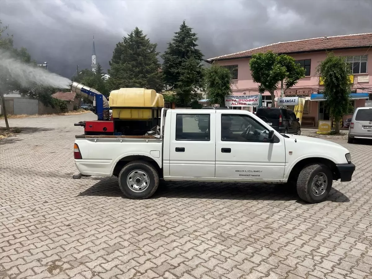Merzifon\'da Haşere İlaçlama Devam Ediyor