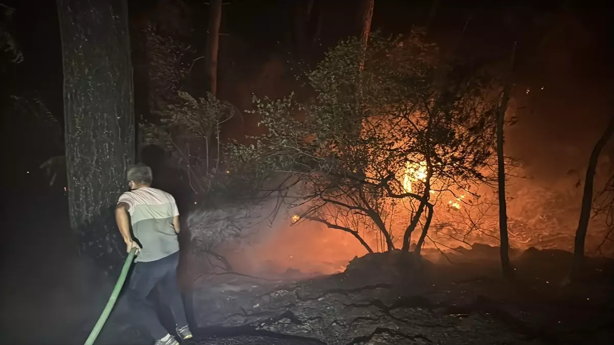 Muğla\'da Orman Yangınına Müdahale