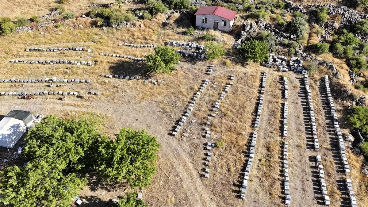 Arıcılıkta Başarı Hikayesi: Selahattin Ayvaz