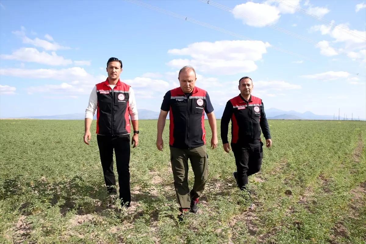 Kayseri Tarımsal Üretimde İleri Adımlar