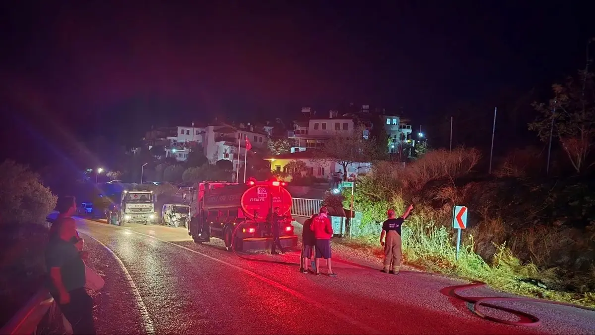 Mudanya\'da Otluk Alanda Yangın Söndürüldü