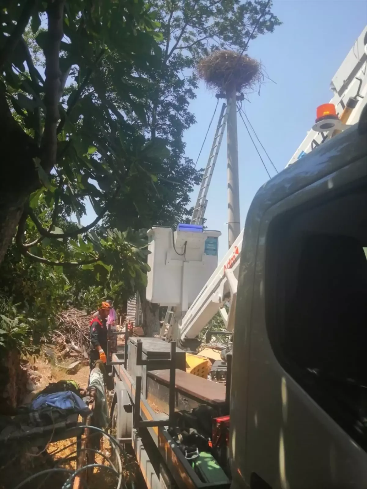 Ayağı Kırılan Leylek Kurtarıldı