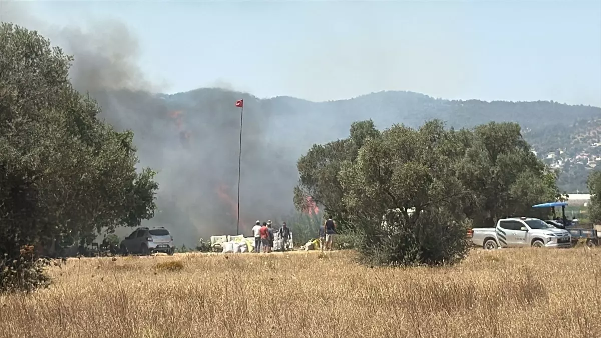 Muğla\'da Çıkan Yangınlar Kontrol Altında