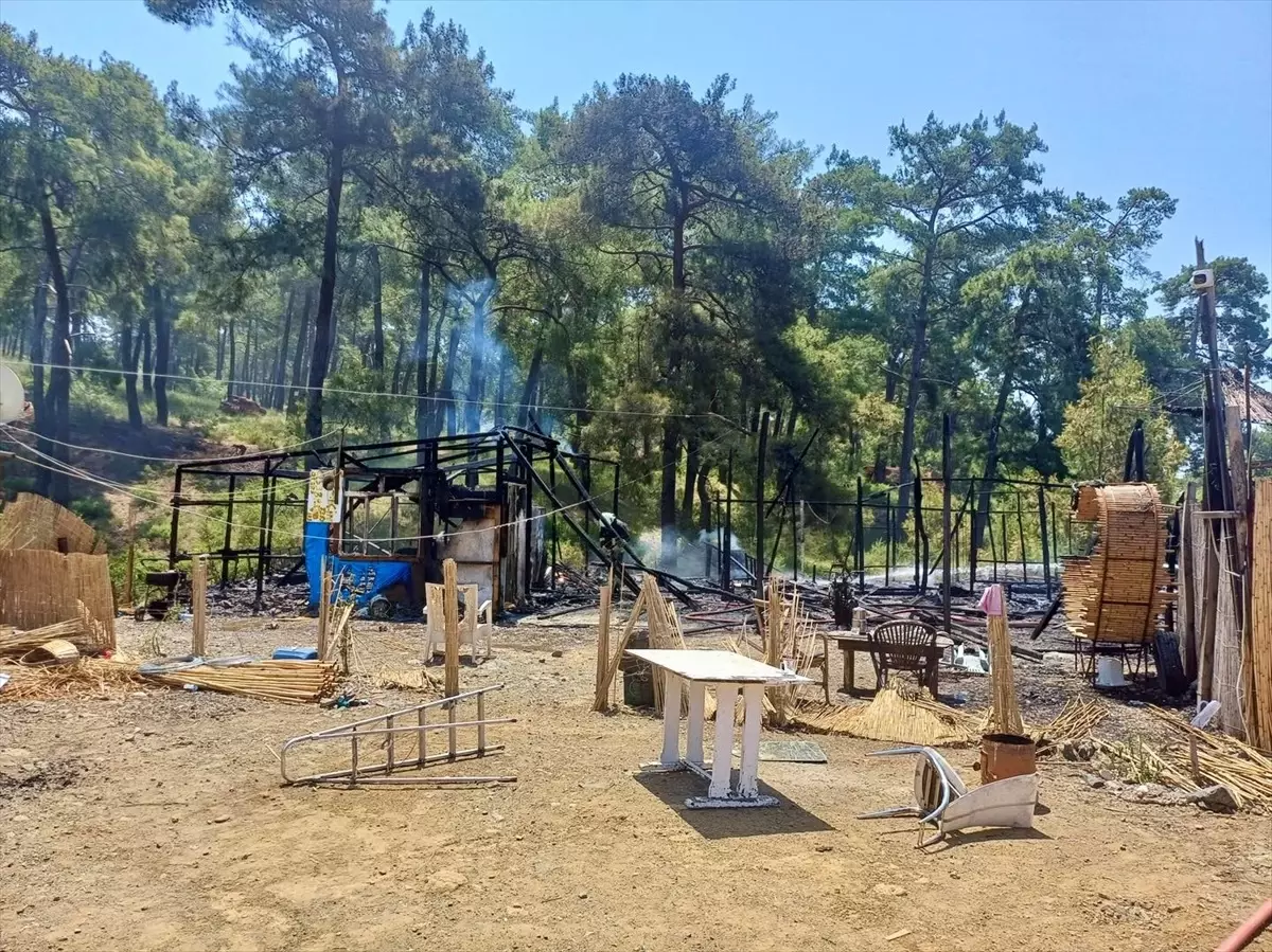 Muğla\'da Yangın Ormana Sıçramadan Söndürüldü