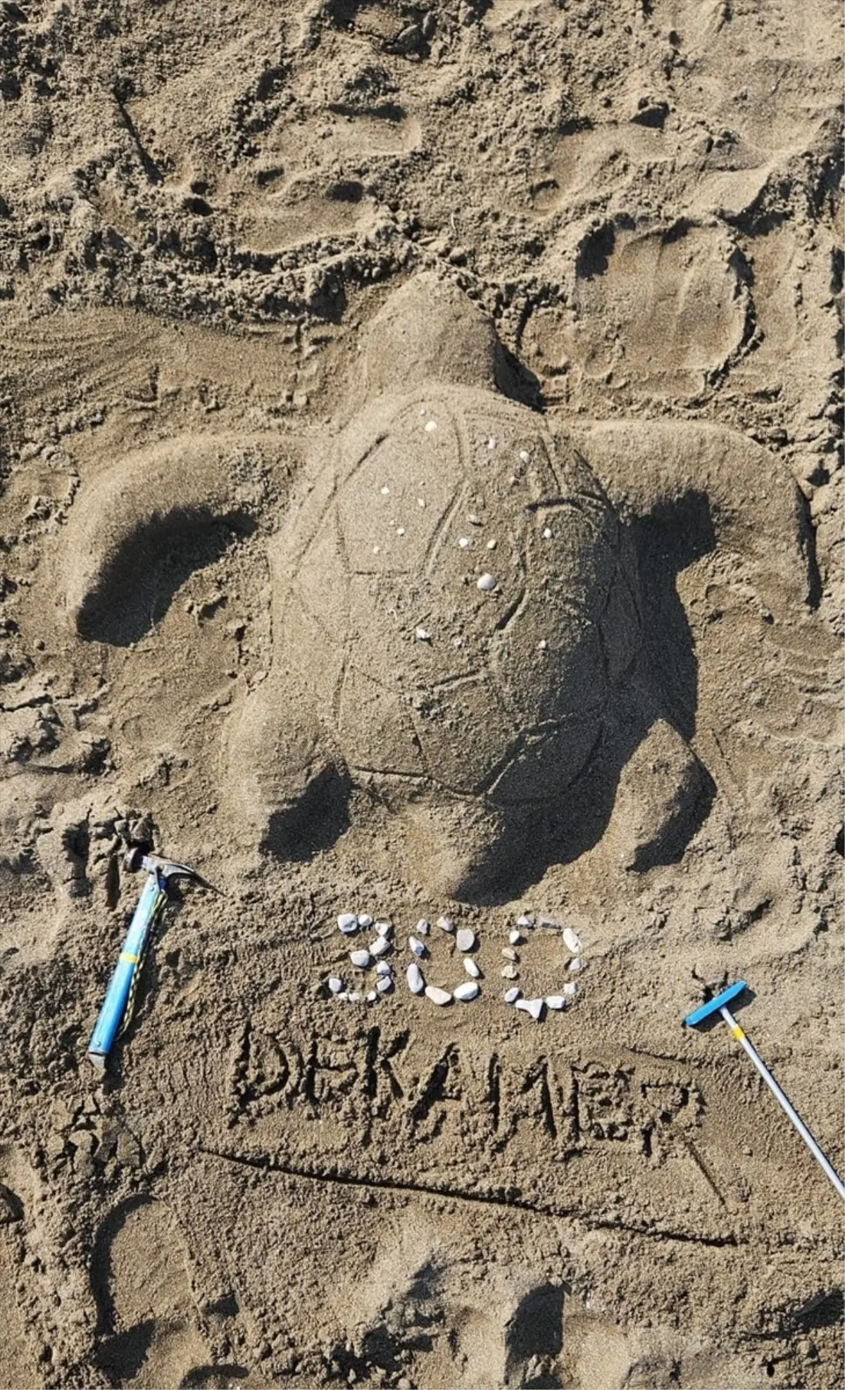 İztuzu\'nda 300 Caretta Caretta Yuvaya Ulaşıldı