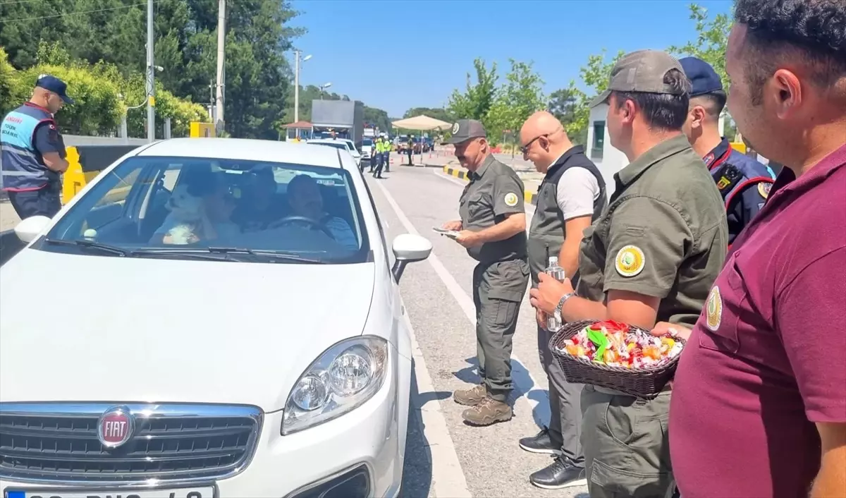 Muğla\'da Orman Yangınlarına Karşı Uyarı