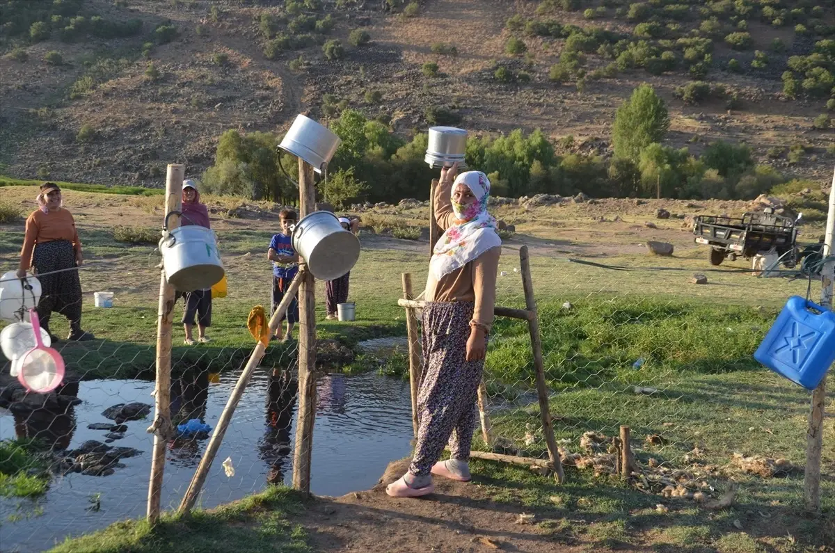 Berivanlar Motosikletle Süt Sağmaya Gidiyor