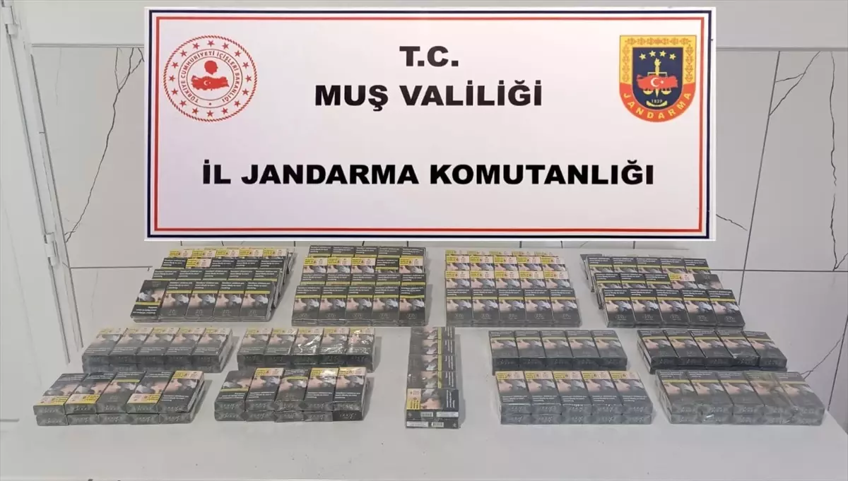 Muş\'ta 270 Paket Kaçak Sigara Ele Geçirildi