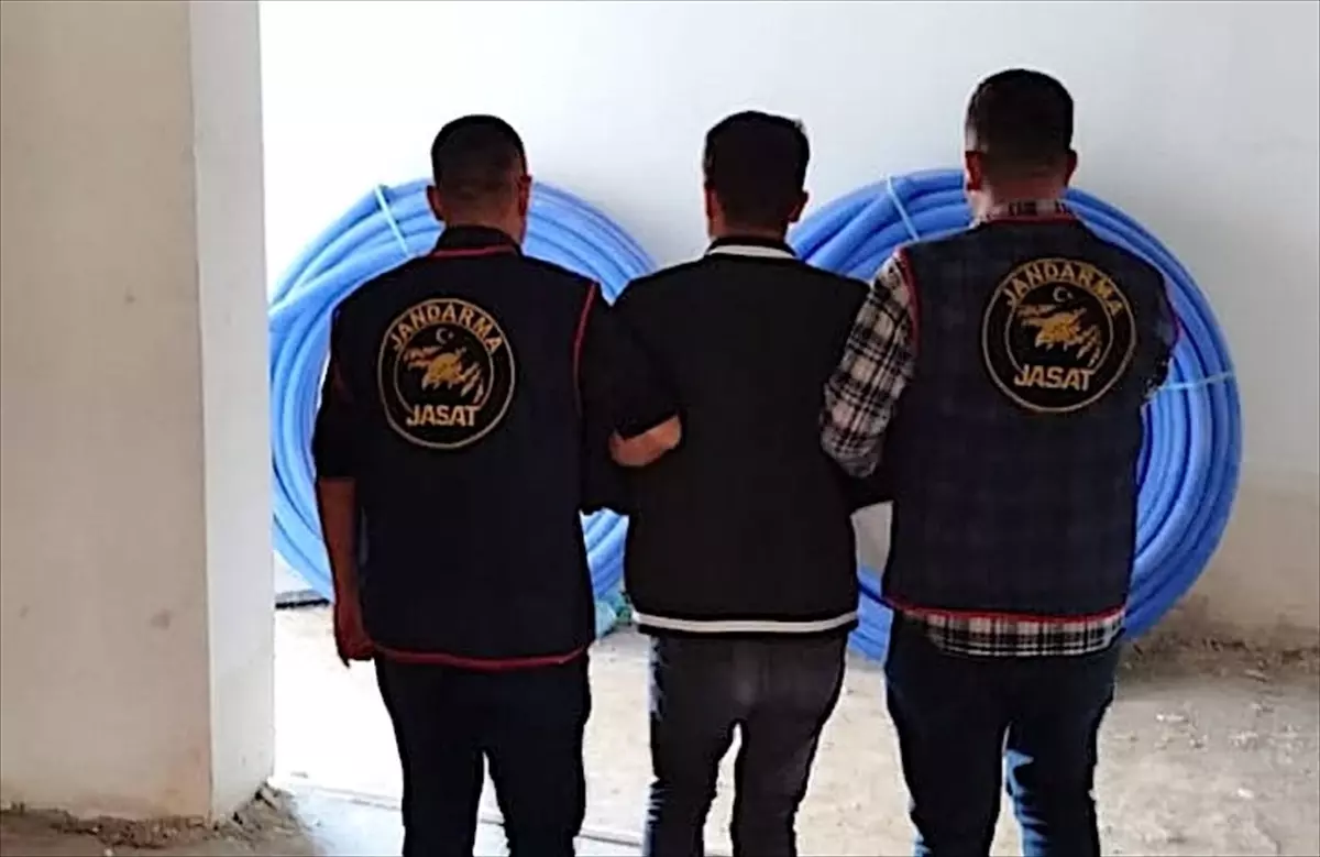 Muş\'ta İki Hükümlü Yakalandı