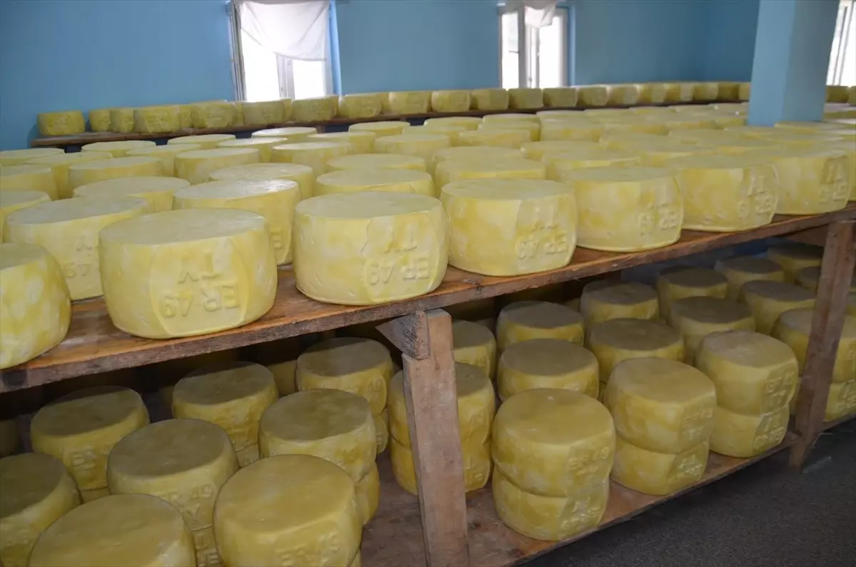 Muş\'ta Eski Kaşar Peynirine Talep Artıyor