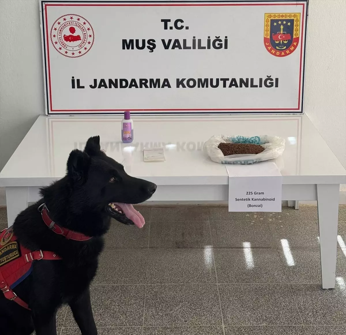Muş\'ta Uyuşturucu Operasyonu: 2 Gözaltı