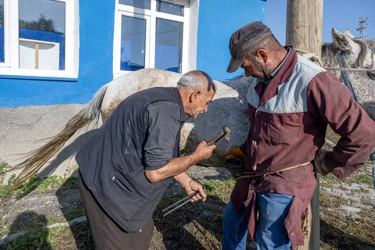Kars\'ta Yarım Asırlık Nalbantlık