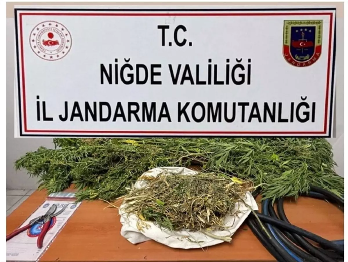 Niğde\'de Uyuşturucu Operasyonu: İki Gözaltı